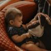 Coussin de maternité et d'allaitement Big Flopsy&#x00002122; - Fleur de coton Brique | BEABA
