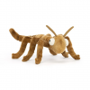 Peluche Stanley Stick Insect 27 cm | JELLYCAT
